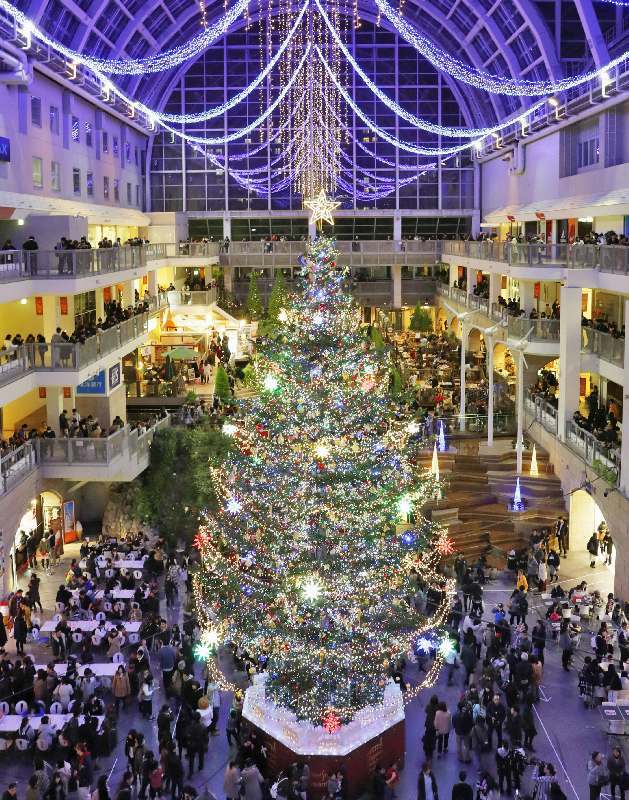 巨大クリスマスツリー点灯 札幌 買い物客から歓声 共同通信 ニュース 沖縄タイムス プラス