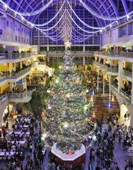 巨大クリスマスツリー点灯 札幌 買い物客から歓声 共同通信 ニュース 沖縄タイムス プラス