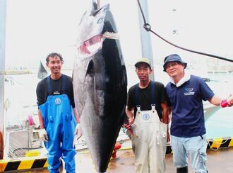 今期水揚げ第１号となった２０８キロのクロマグロと、釣り上げた日野洋平船長（右から２人目）ら＝１３日、石垣市の新栄漁港