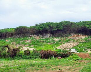 開発が計画されている鉱山。立木が伐採され、県が遺骨収集を進めている＝３月６日、糸満市米須