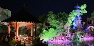 ライトアップで幻想的空間が演出された福州園