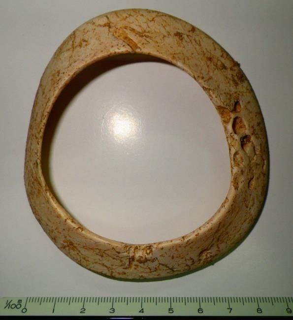 人骨の左手首に着装されていたゴホウラ貝製の腕輪（伊江村教委提供）