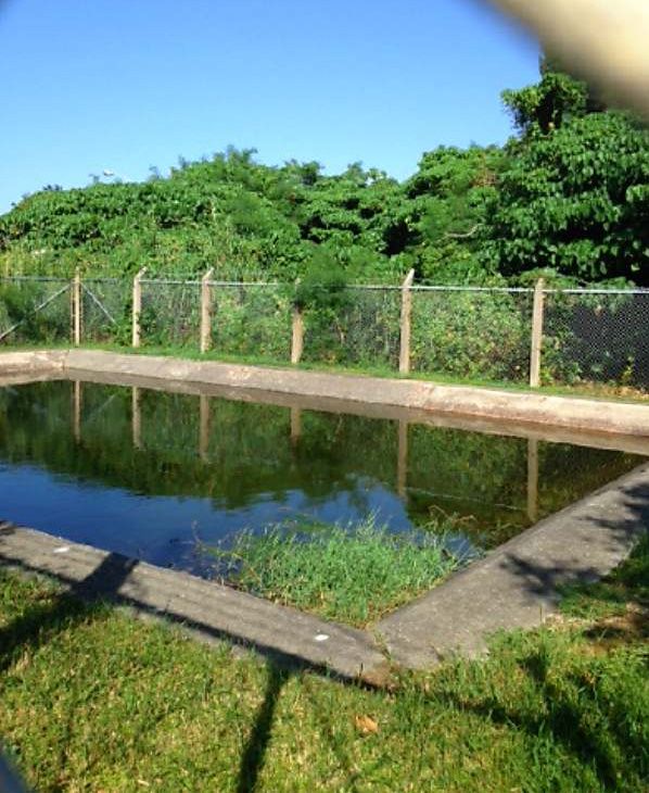 米海兵隊のメールに掲載された嘉手納基地内のため池の様子。上限近くまでたまっていることが見て取れる（米情報公開法で入手）