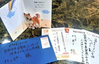 沖縄カトリック小学校に届いた「ハッピー」あての年賀状