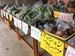 地域の野菜が格安で購入できます。