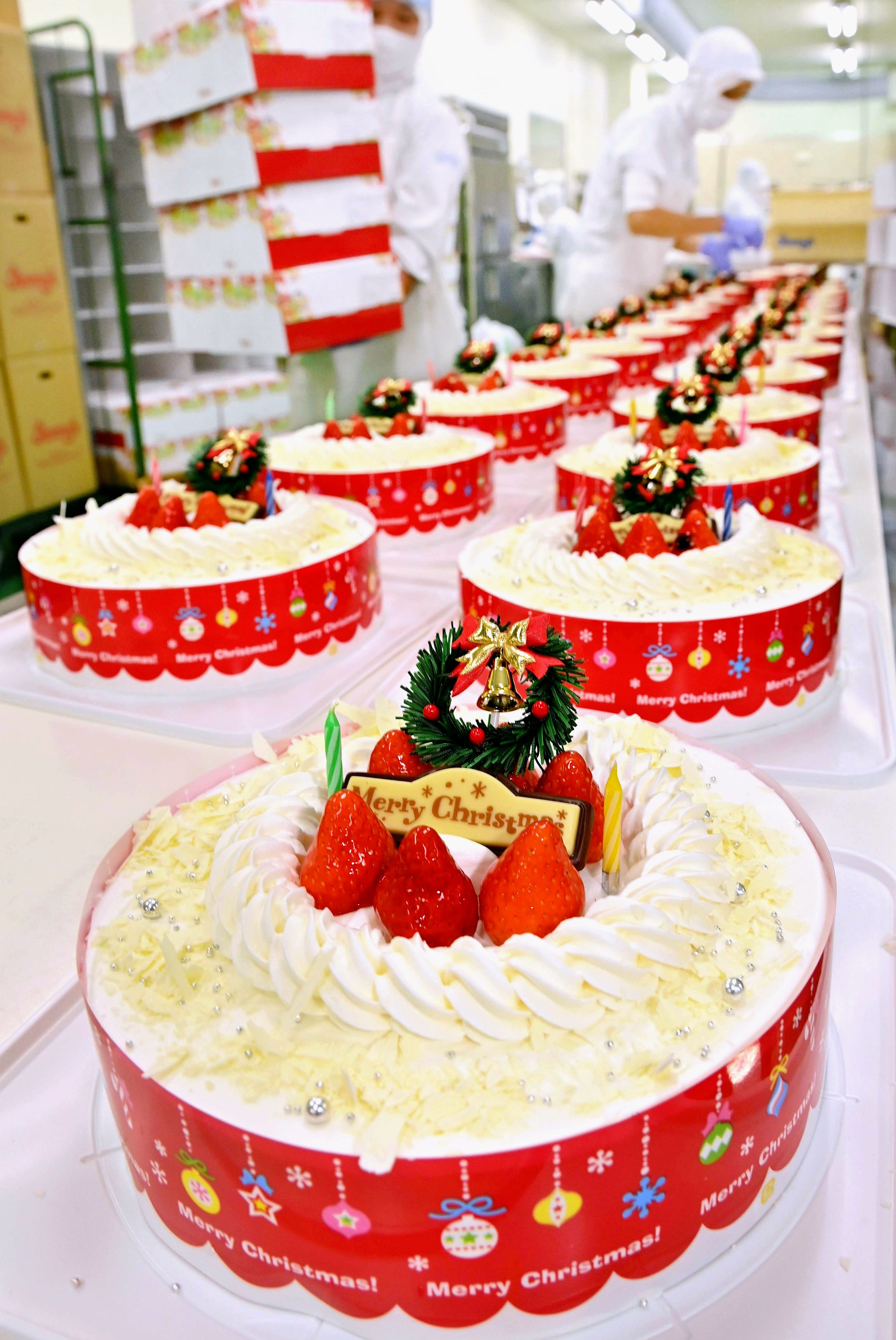 ジミーのケーキは普段の5倍以上 笑顔を思い浮かべ 大忙しのクリスマスイブ 沖縄タイムス プラス ニュース 沖縄タイムス プラス