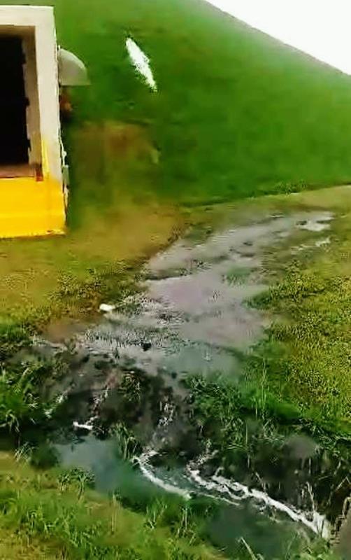 動画の一部。芝生の斜面にある排出口から燃料があふれ、白く見える。地面を経て排水口に流れ込んでいる＝普天間飛行場内（提供）