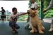 Seramu, a white lion, is seen with Kota Suetake, who provided the name for the feline, in a photo taken June 4. | OKINAWA ZOO & MUSEUM