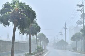 写真特集 島揺らした台風10号 緊迫の一日 タイムス クロス コラム 沖縄タイムス プラス