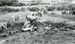 米軍Ｔ３３練習機が墜落した現場を検証する米軍関係者ら＝１９７１年１０月２９日（読谷村史編集室提供）