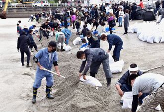 新里漁港で軽石の除去作業をする参加者ら＝１４日、本部町