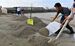 宜野湾漁港に漂着した軽石の除去作業をする漁師ら＝１１日午後、宜野湾市大山（金城健太撮影）