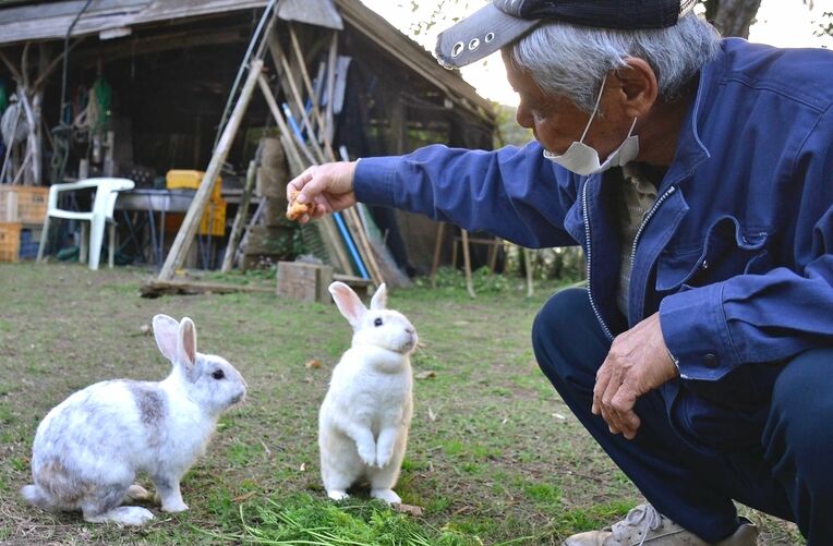 捨てられた２匹のウサギを世話する親川富成区長＝３日、大宜味村白浜のキャンプ場