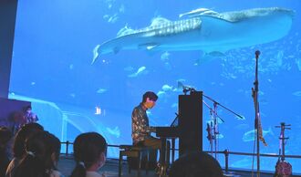 大水槽の前でピアノを演奏するジェイコブ・コーラーさん＝２６日、本部町・沖縄美ら海水族館