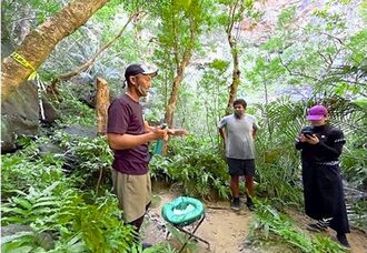 西表島の自然を事前のオンラインツアーで学習して体験するプログラム（ＯＣＶＢ提供）