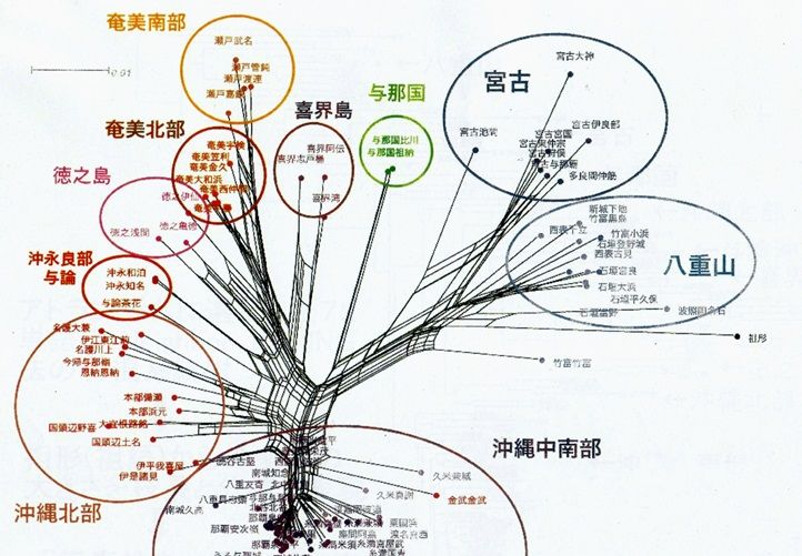 狩俣繁久教授らが作成した琉球語の言語系統樹