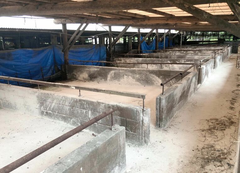 昨年１月に約４００頭の豚の殺処分を余儀なくされ、廃業した農家の豚舎＝７日、本島中部（提供）