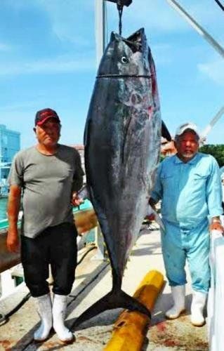 サメかと思いきや 本マグロ180キロ釣ったどー 久米島 沖縄タイムス プラス ニュース 沖縄タイムス プラス