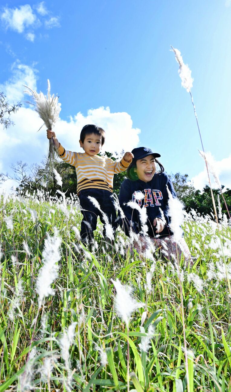 久しぶりの晴れ間に、チガヤの穂を摘む子どもたち＝１０日午後、西原運動公園（伊禮健撮影）