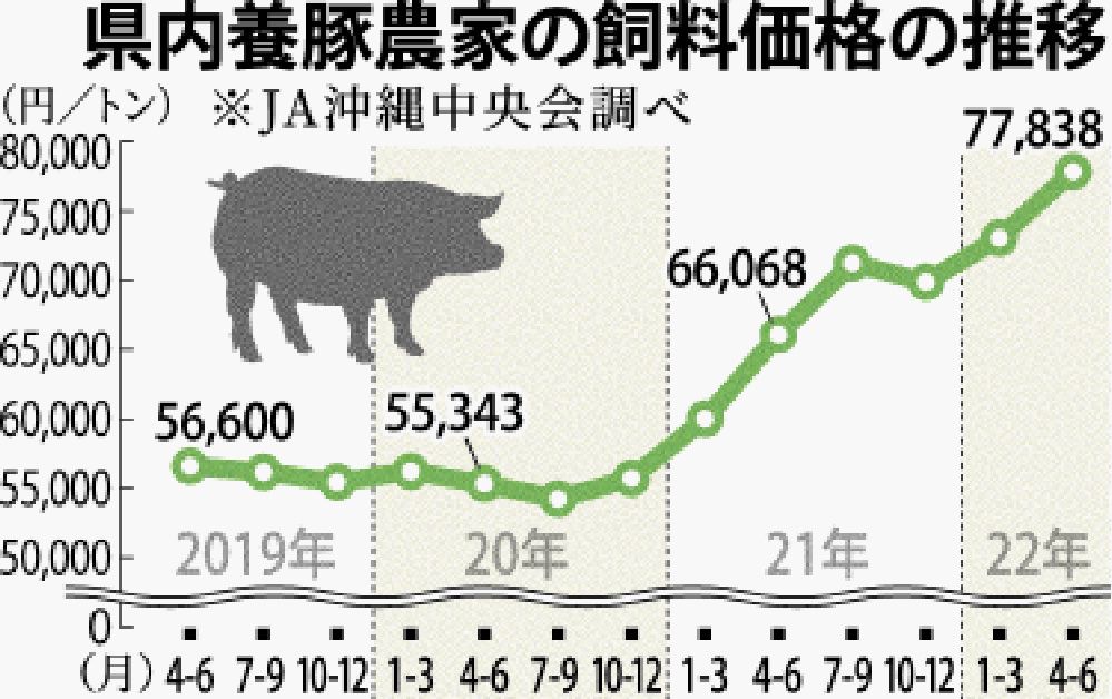養豚用の飼料費2割アップ 農家が苦境 4～6月価格の前年比 豚熱ワクチン