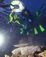 幻想的なサンゴの産卵に見入る阿嘉小の児童たち＝５月２１日、座間味村阿嘉島真謝ビーチ（あか・げるまダイビング協会提供）