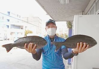 うねりが交じる海 無数の小魚をかわして釣り上げた54センチの大物とは 沖縄タイムス プラス ニュース 沖縄タイムス プラス