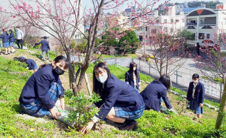 卒業記念でツツジの苗を母校に植える浦添高校の生徒ら＝３日、浦添市・同校