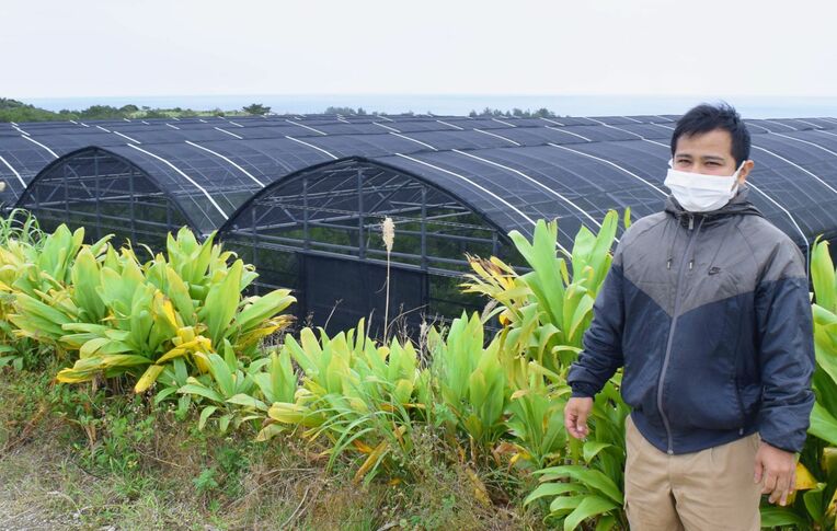 「僕らは次のステップへ進みたい」と話す松川憲次郎さん。奥に見えるハウスで観葉植物を栽培する＝１３日、名護市天仁屋区