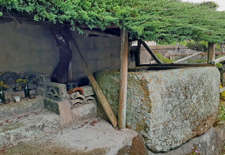東迎高健さん宅にある大きなイチタライ（右）。木に守られ、そばには香炉が置かれ大切にされてきたことが分かる＝９月２４日、与那国町与那国